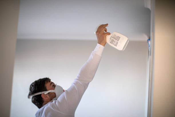 Attic Mold Removal in Mount Carroll, IL