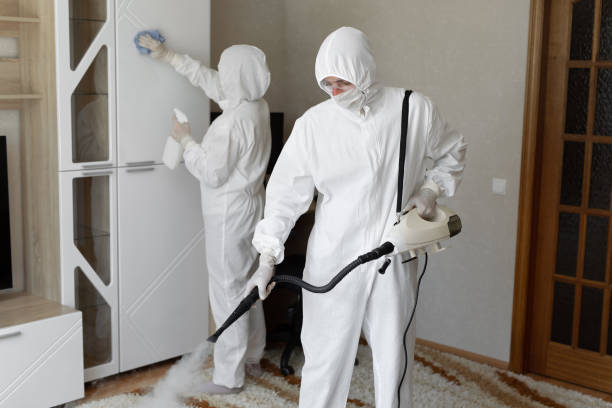 Best Residential Mold Removal  in Mount Carroll, IL