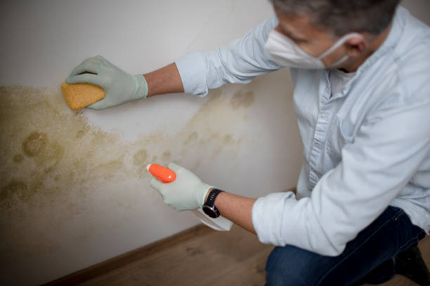 Water Damage Restoration in Mount Carroll, IL